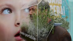 Художник из Бельгии создал мини-теплицу и носит ее на голове вместо маски