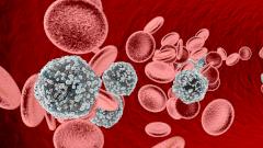 выздоровление от вич