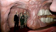 Музей как путешествие по человеческому телу