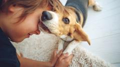 собака, ребенок