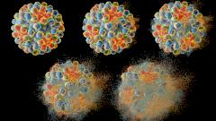 Гепатит В: как защитить себя?