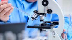 Обнаружен белок, нейтрализующий коронавирус