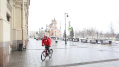 Ученые рассчитали срок окончания эпидемии COVID-19 в России