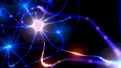 Найден новый способ вернуть парализованным возможность ходить