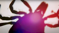 Клещевые инфекции