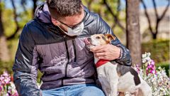 Гинцбург: «Спутником V» можно прививать даже животных