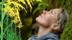 «Поллиноз заставил меня больше путешествовать». Личный опыт