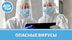 Врач-инфекционист ответила, как защититься от опасных вирусов