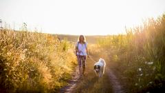 Выяснилось, какой минимум шагов в день начинает снижать риск смерти и инсульта