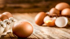 Яйца: польза и вред
