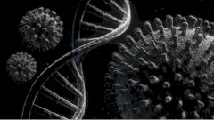 В России впервые сфотографировали британский штамм COVID-19