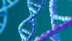 Ученые обнаружили в геноме человека новые «горячие точки» мутаций