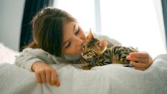 Правда и мифы о токсоплазмозе