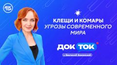 Клещевой энцефалит, комариная угроза и опасная уборка: Александр Горелов в гостях шоу «ДокТок с Эвелиной Закамской»