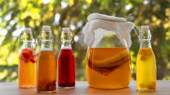 Чайный гриб — польза и вред для организма, лечебные свойства