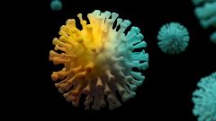 Мутации нового коронавируса признаны безвредными