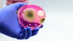 Ученые обнаружили новую грибковую инфекцию, которая еще не встречалась у людей