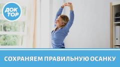 Какие упражнения можно делать на рабочем месте для улучшения осанки