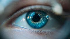 10 фактов о глазах