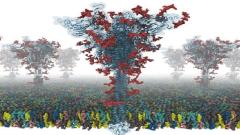 Появилась первая полная модель S-белка коронавируса