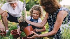 Дачные травмы: первая помощь