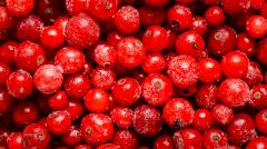 5 неожиданных преимуществ клюквы для здоровья