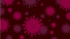 Число заболевших COVID-19 на планете превысило 8 000 000