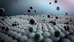 организм, инфекция, толерантность