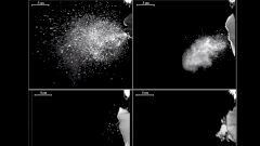 Ученые показали на видео, как и от чего защищают разные типы масок