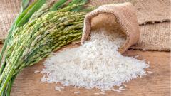 Учёные рассказали о смертельной опасности риса