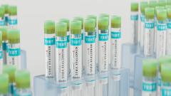 грызуны, оспа, обезьянья оспа