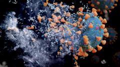 Найден способ уничтожать коронавирус в помещениях