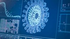 Биолог назвал омикрон-штамм «живой вакциной» от коронавируса