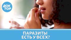 Чистка от паразитов «на всякий случай» — риск для организма