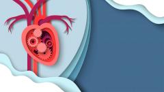 Болезни сердца: гипертрофия левого желудочка