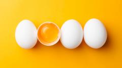 Споры о выеденном яйце