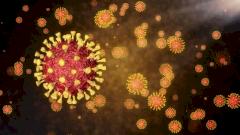 Британские учёные решили заразить добровольцев коронавирусом