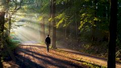Прогулку признали лучшим лекарством от боли в пояснице