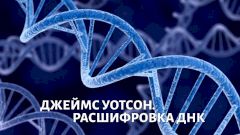 Расшифровка ДНК