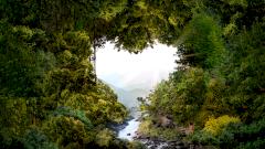 Жизнь после инфаркта