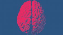 Российские ученые нашли аномалии в мозгу 80% переболевших ковидом