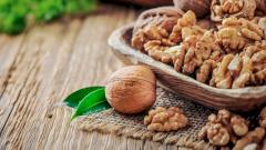 Грецкий орех — польза и вред для организма, лечебные свойства