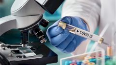 Ученые считают, что вакцина от коронавируса будет изобретена не раньше, чем через год