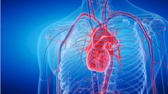 Вскрытия показали необычные сердечные изменения у пациентов с COVID-19