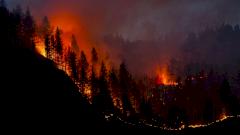 Исследование: жизнь недалеко от лесных пожаров повышает риск развития рака