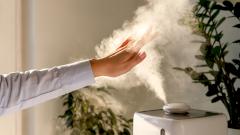 Назван уровень влажности в квартире, «предотвращающий» ковид