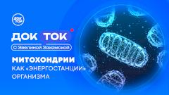 Как митохондрии определяют наше здоровье и влияют на долголетие, расскажет «Доктор»