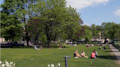 Уровень заболеваемости COVID-19 в Швеции стремительно снижается