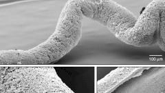 Медики создали материал для 3D-печати кровеносных сосудов