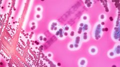 Что такое инфекция, вызванная стрептококком группы В?